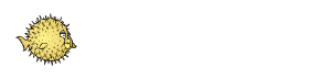 companylogo 5 Yalnız Bilişim Teknolojileri Yalnız Bilişim Teknolojileri
